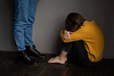 Domestic Violence / Alimony Law Service Domestic Violence / Alimony Service Pudukkottai